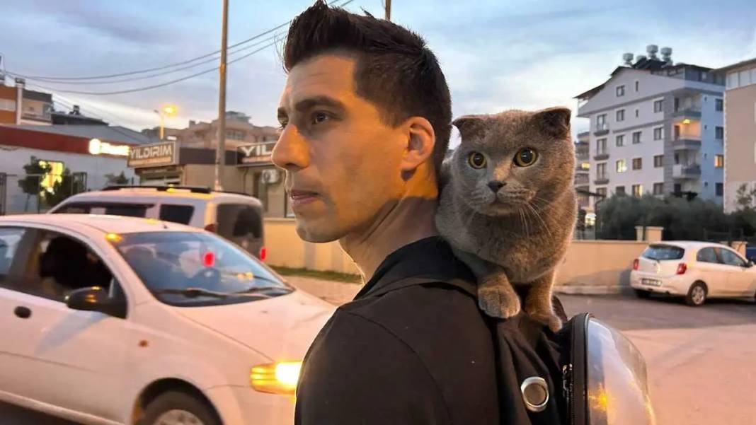 Hatay’da Omuzda Şehri Turlayan Kedi Kentin Maskotu Oldu! 6